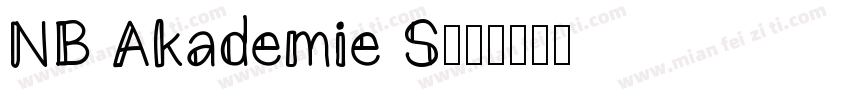 NB Akademie S字体转换